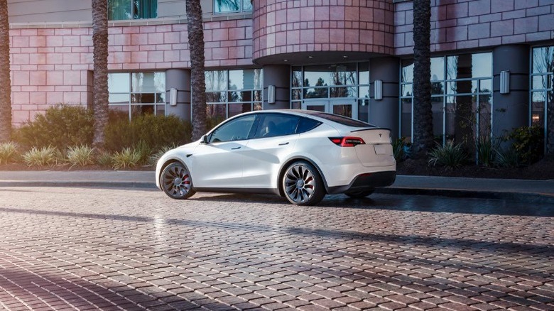 tesla model y rear view