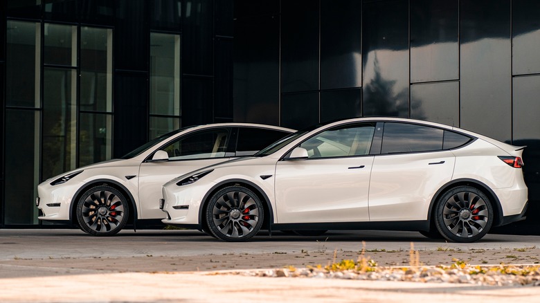 Two Tesla Model Y SUVs parked.