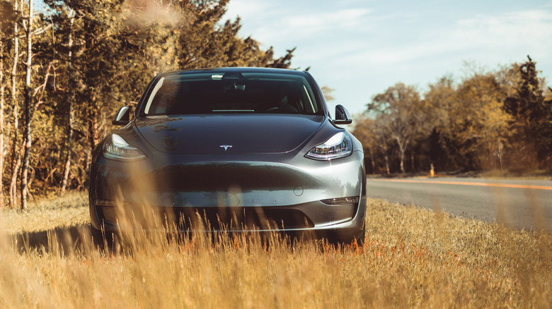 View of the Tesla Model Y from the front.