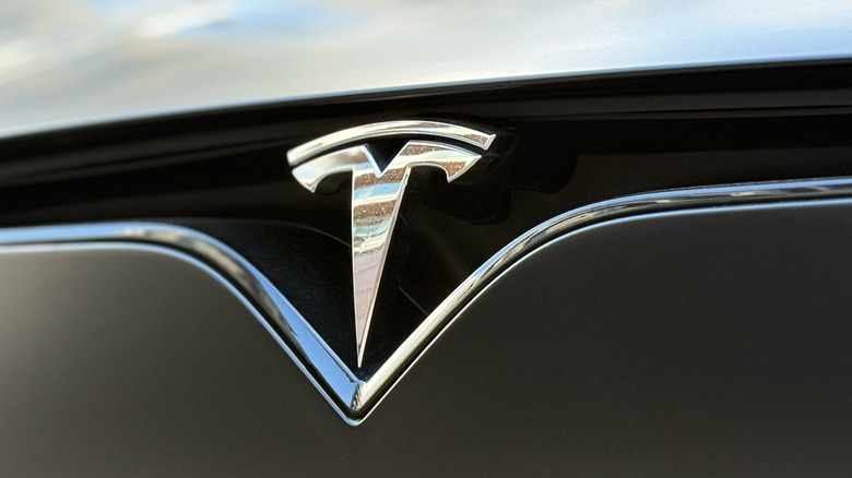 Exterior of the Tesla Model S