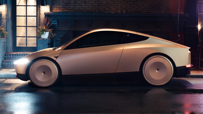 Tesla Robotaxi