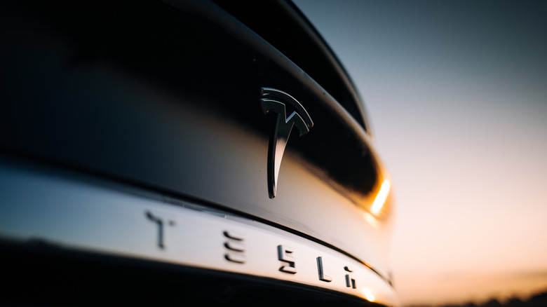 Photo of Tesla badge on bumper