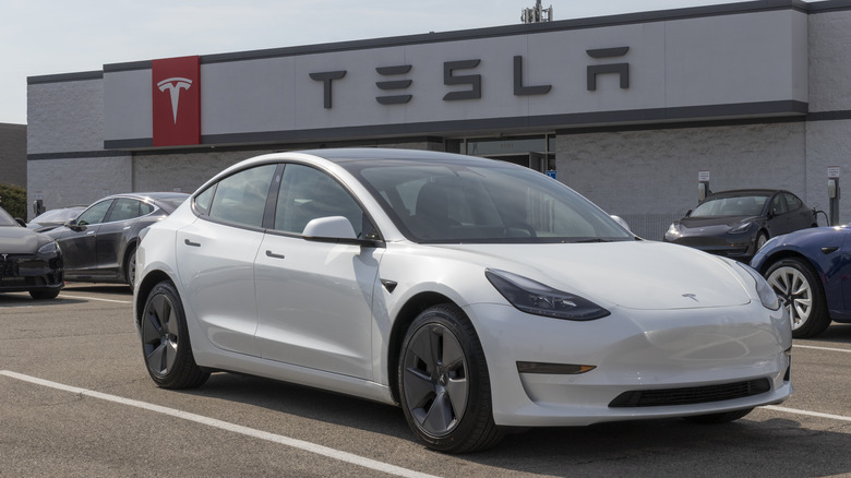 Tesla Model 3 parked dealership