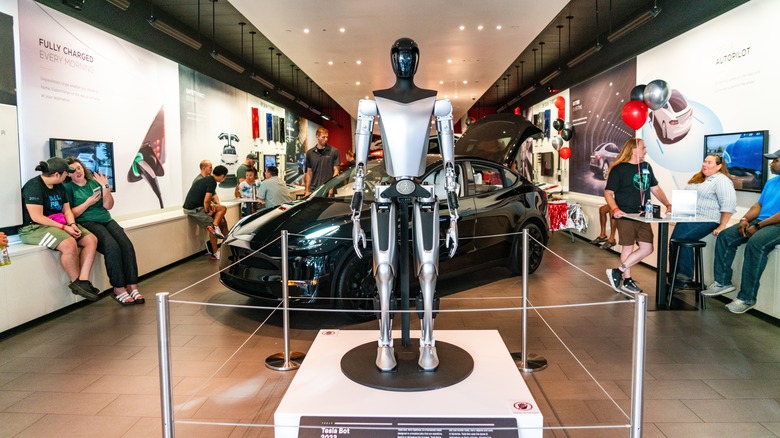 A mock up of the Tesla Optimus at a Tesla store