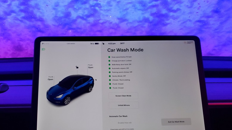 tesla car wash mode