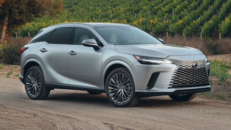 Lexus RX 350h by a vineyard