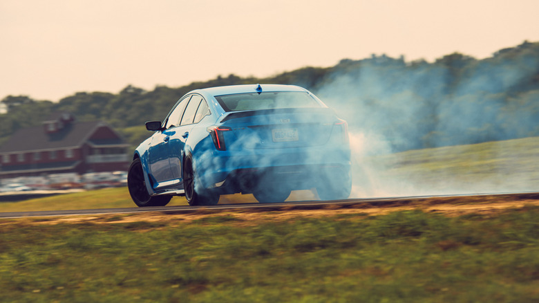 Blackwing Burnout