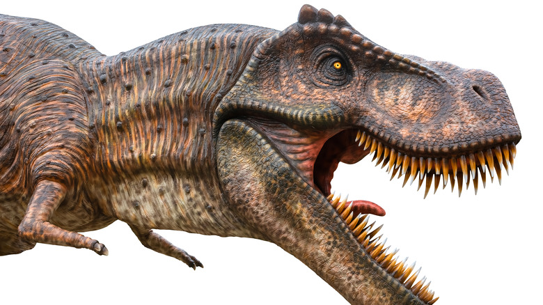 T. rex