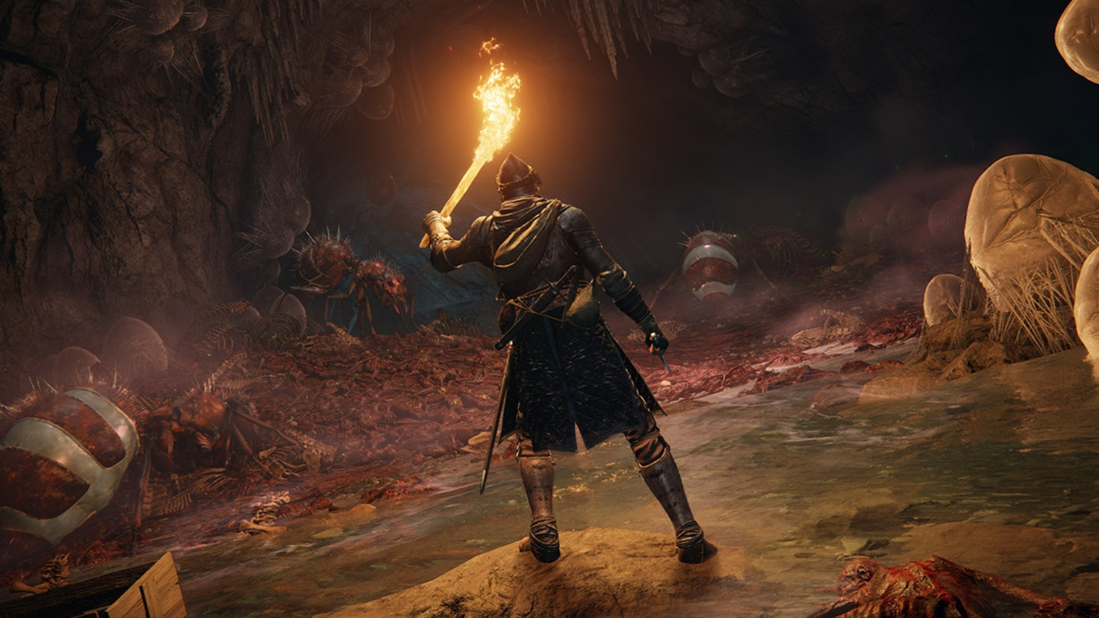 Future Dark Souls, FromSoftware Games Have a Final Frontier to Explore