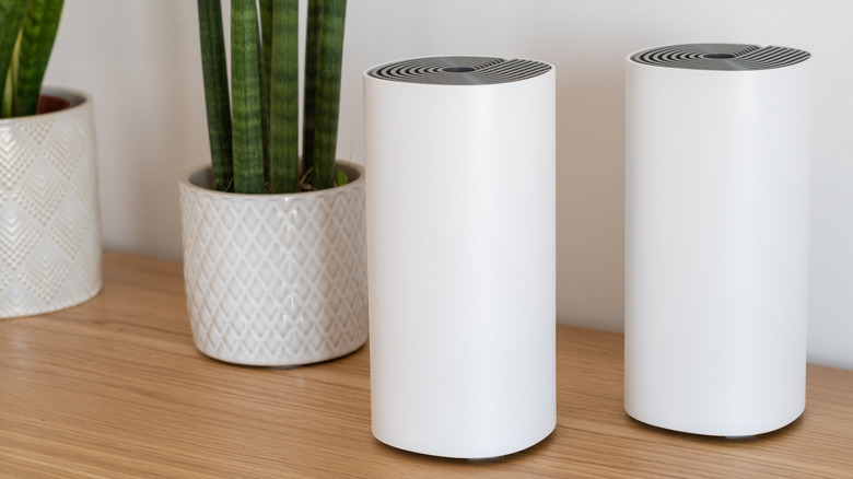 Two mesh wi-fi nodes placed on a table alongside two small plants