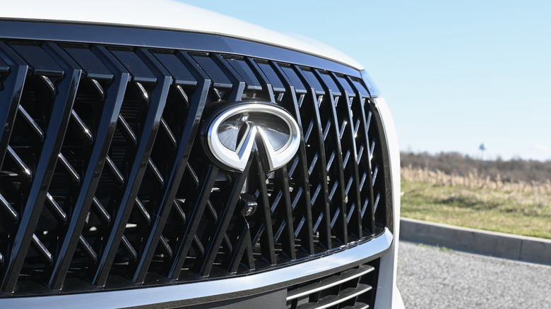 QX80 front badge detail