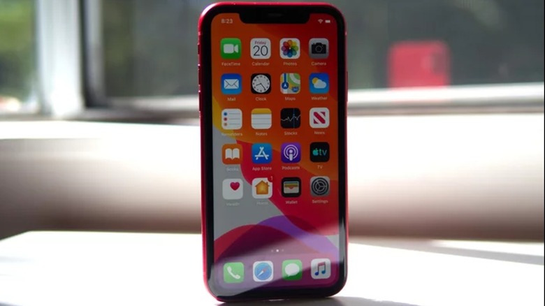 iPhone 11 on display