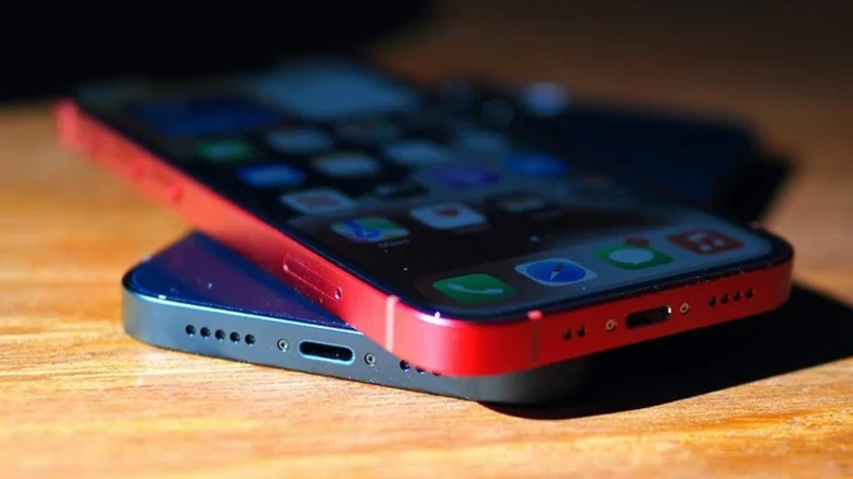 the iPhone 13
