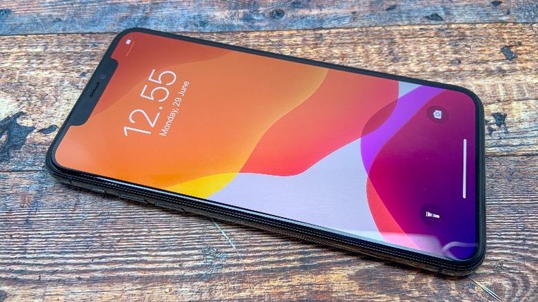 the iPhone X