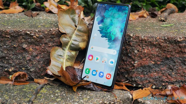 A Galaxy S20 FE on some stone with leaves