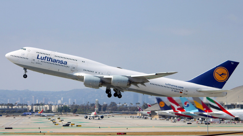 A Lufthansa Boeing 747-8i Departs for Frankfurt FRA from Los Angeles LAX