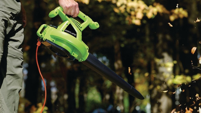 The Portland corded blower used on dry leaves.