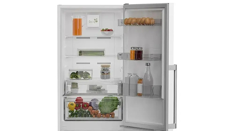 Blomberg fridge open