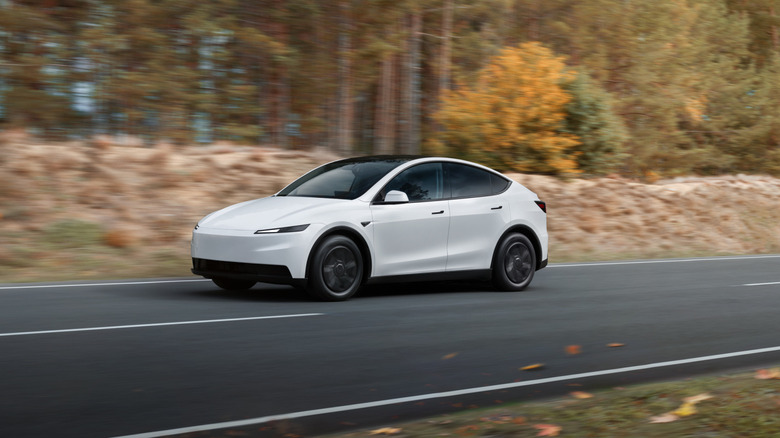 A white Tesla Model Y on a rural road in the fall