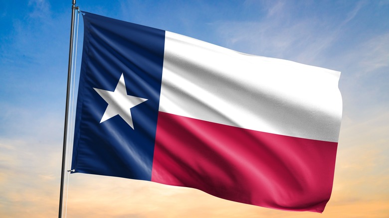 Texas stage flag on flagpole