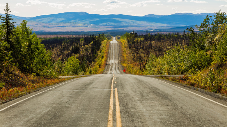 Never-ending Taylor Highway, Chicken, Alaska, United States.