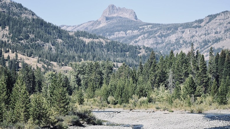 South Dakota's expansive landscape, trees, and mountains
