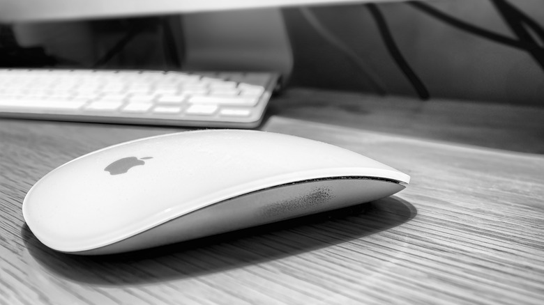 Mouse resting on a desk. 