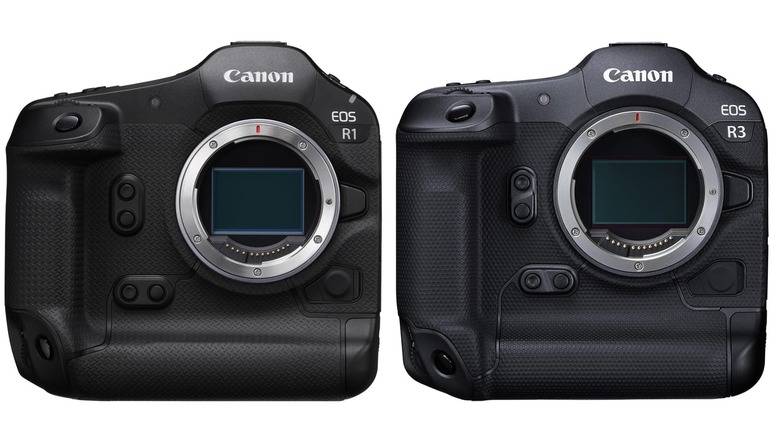 the Canon EOS R1 and R3 viewed side-by-side