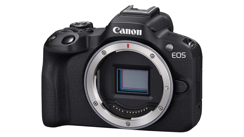 a body only Canon EOS R50