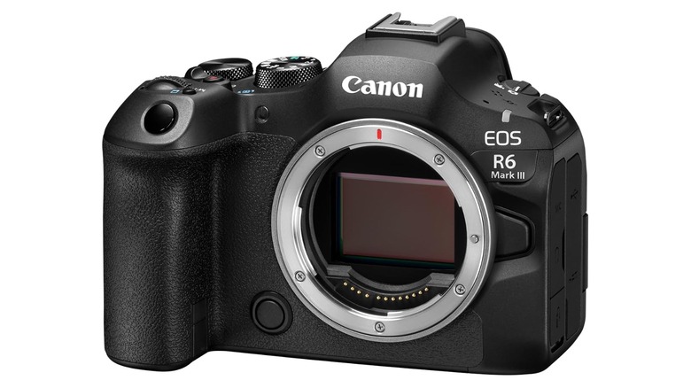 a Canon EOS R6 Mark III camera body