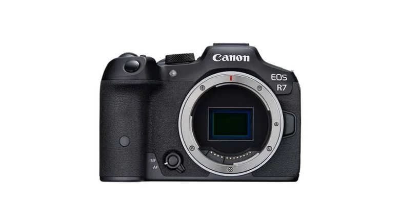 a Canon EOS R7 body only camera