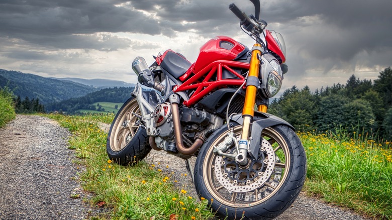 Ducati Monster