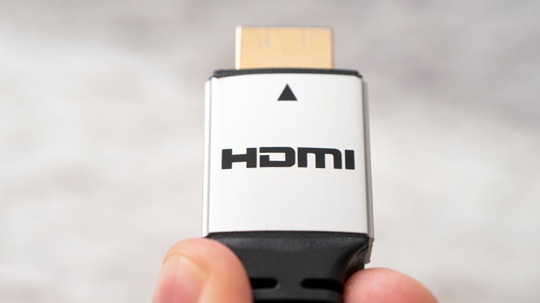 close up of someone holding an HDMI cable