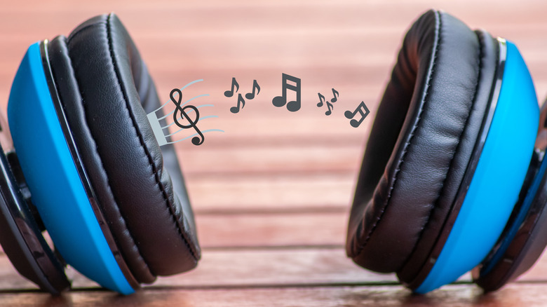 Leather ear cushions close up