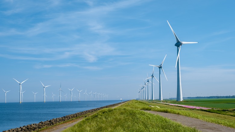 Windmill Farm