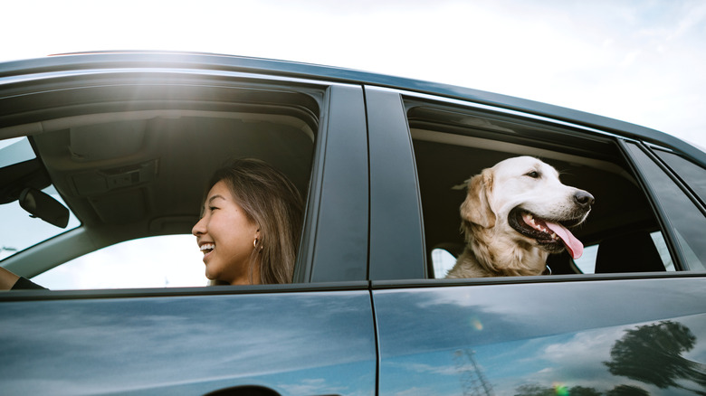 woman and dog in car