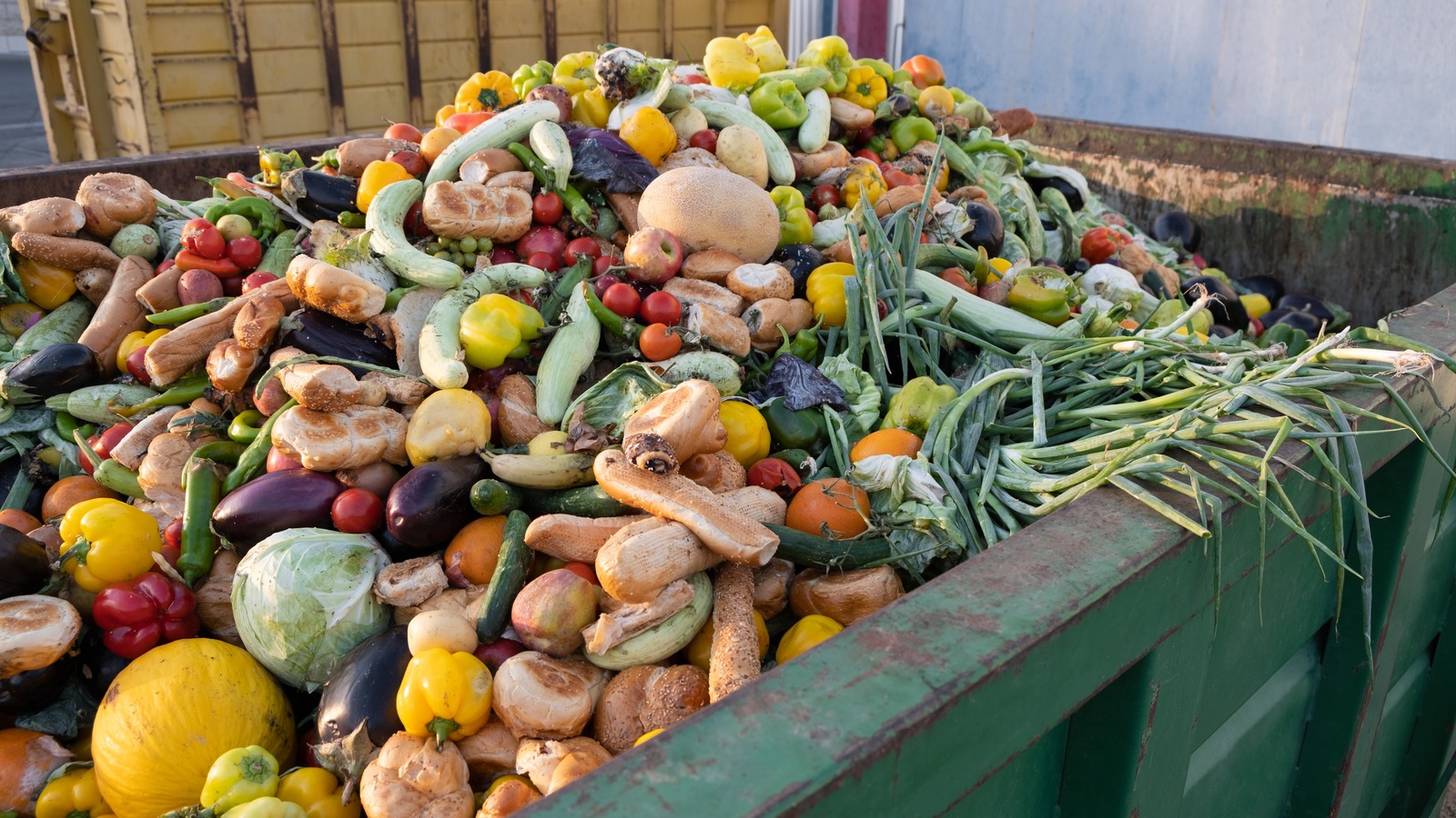 The Best 6 Food Waste Apps To Save Some Money And The Environment - Vimarsana News