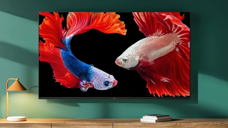 At Roku 65 Class Pro Series QLED 4K TV on a wall, showing two fishes.