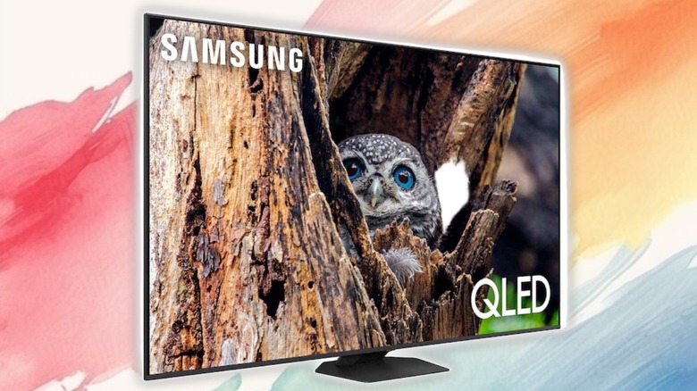 A Samsung QN65Q80DD TV showing an owl in a tree on a painted background.