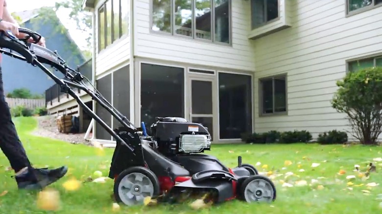 Person using Toro mower to cut their grass