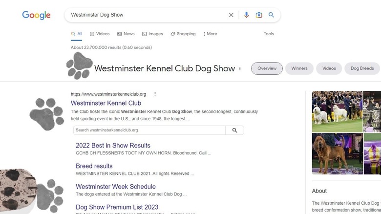 westminster dog show