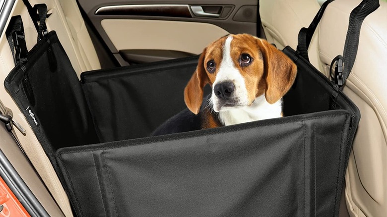 Dog sitting inside the Wuglo car seat