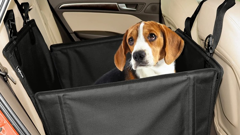 Dog sitting inside the Wuglo car seat 