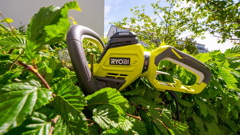 ryobi hedge trimmer used in yard