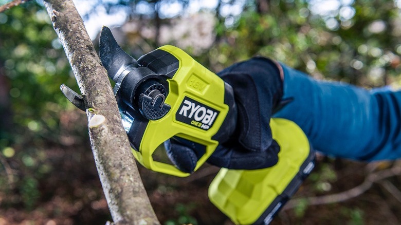 Person cutting tree limb