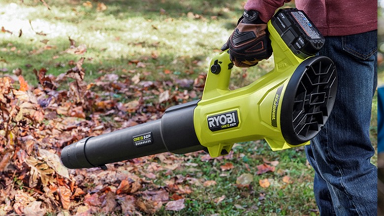 Get a leaf blower if leaves are leaving you bushed?