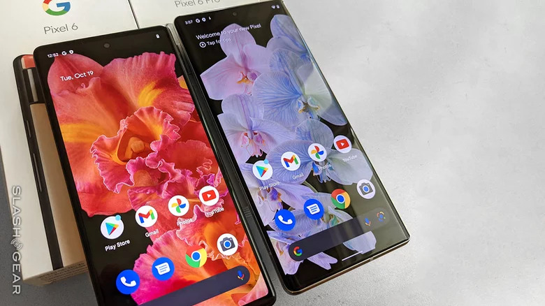 Pixel 6 and 6 Pro