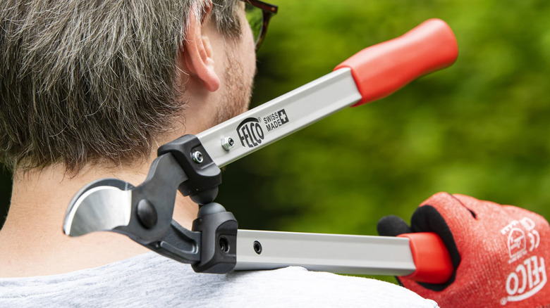 A close up shot of FELCO Loppers in use