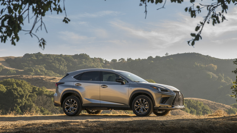 2018 Lexus NX 300 parked in hilly countryside, right view