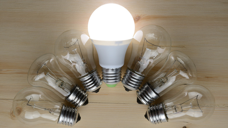 glowing LED bulb surrounded by a semi-circle of incandescent bulbs on table